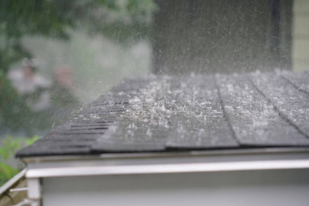 Best Green or Eco-Friendly Roofing Solutions  in Edgefield, SC
